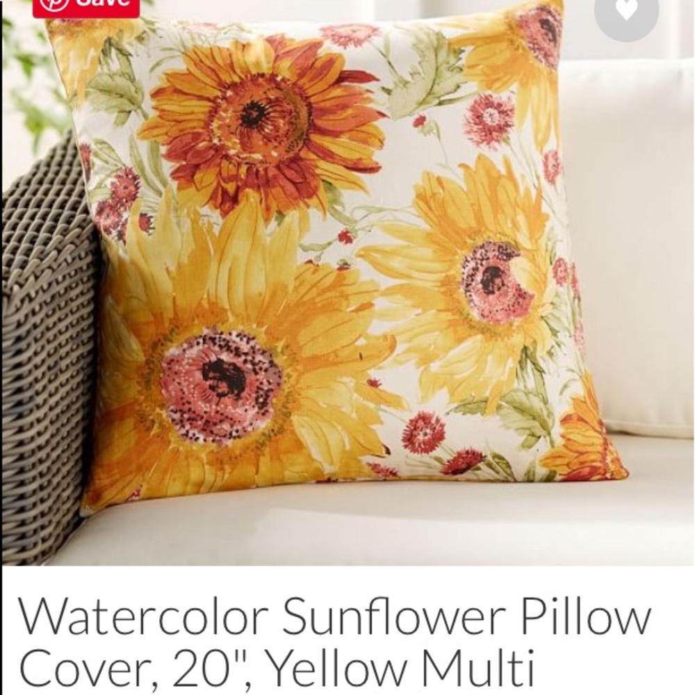 Pottery Barn pillow covers